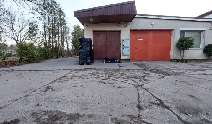 Lokal Marki Struga, ul. Leopolda Lisa-Kuli