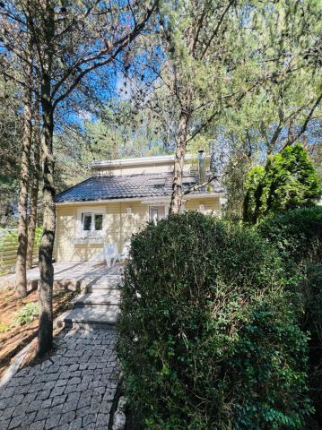 Działka budowlana Zofiówka. Zdjęcie 1