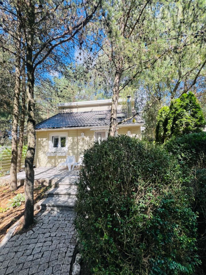 Działka budowlana Zofiówka. Zdjęcie 1