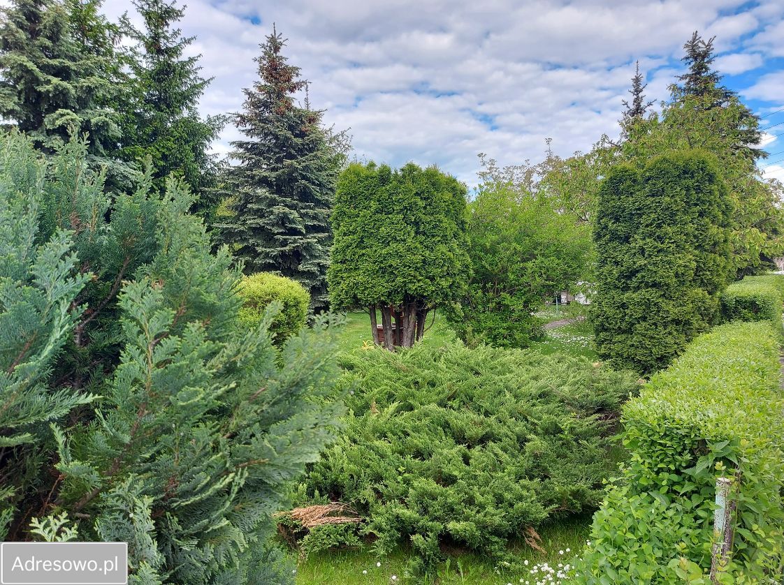 Działka rekreacyjna Jaworzno Szczakowa, ul. Ogrodnicza