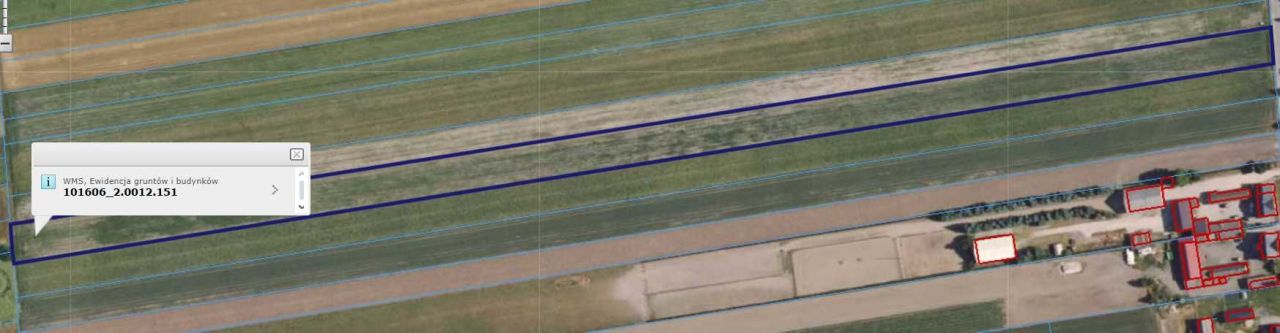 Działka rolno-budowlana Nowy Jasień. Zdjęcie 3