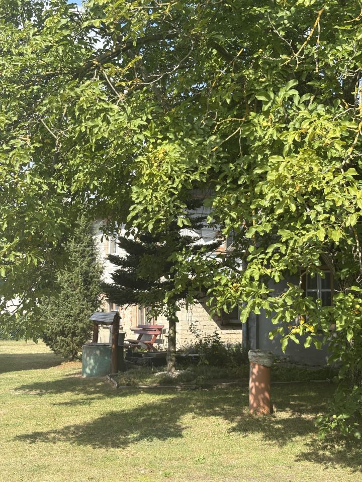 siedlisko, 6 pokoi Wiewiórka. Zdjęcie 10