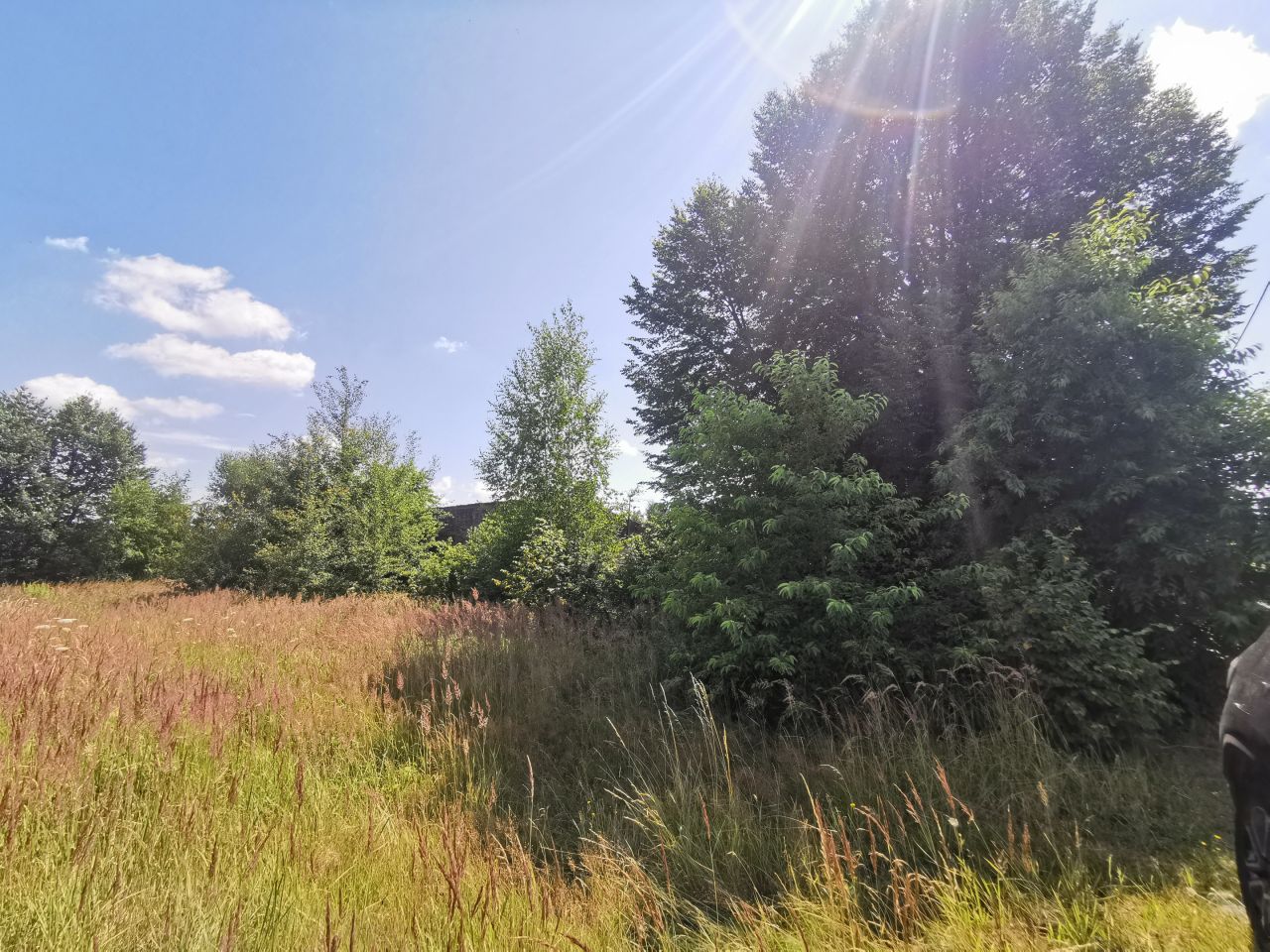 Działka rolno-budowlana Gozdnica, ul. Witosa. Zdjęcie 17