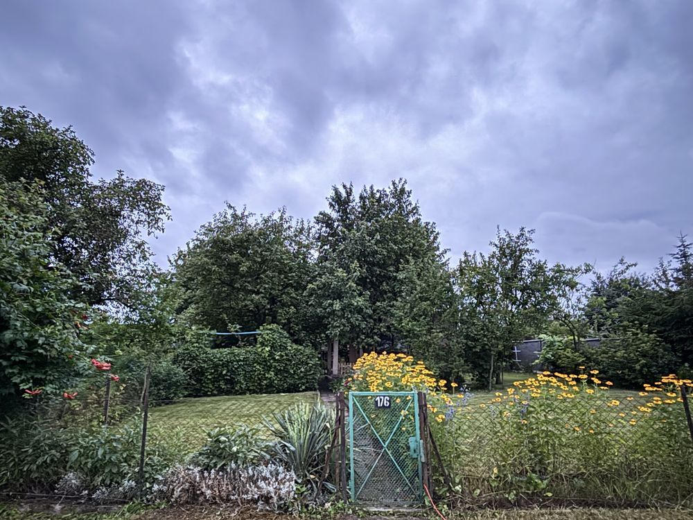 Działka rod Gniezno, ul. Górna. Zdjęcie 3