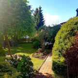 Działka rod Skierniewice, ul. Działkowa. Zdjęcie 3