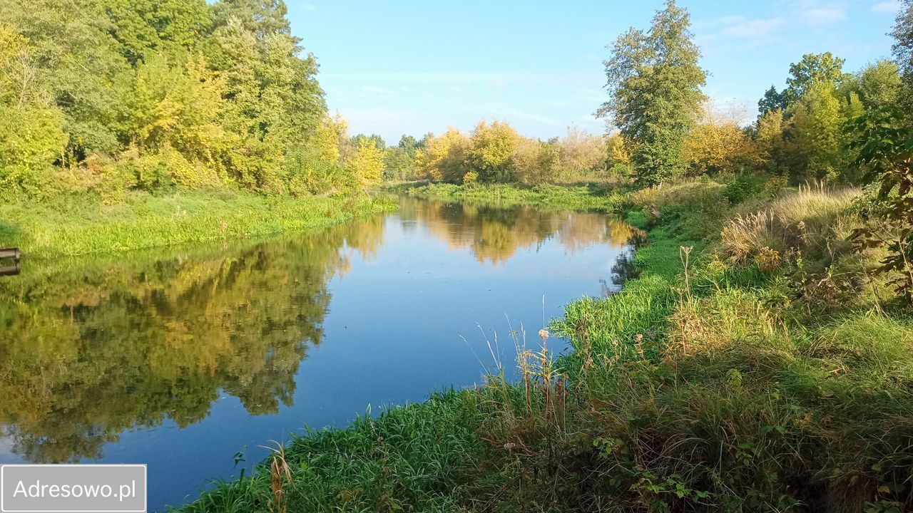 Działka budowlana Popielżyn-Zawady. Zdjęcie 11