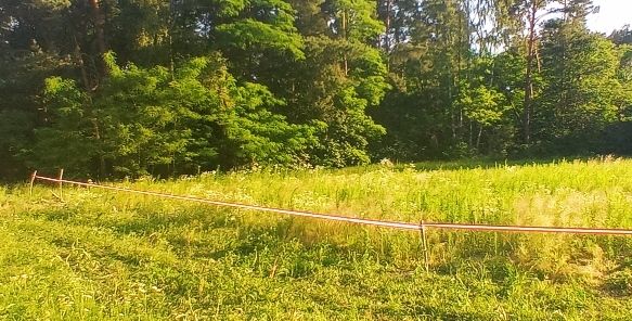 Działka budowlana Niemieryczew. Zdjęcie 1