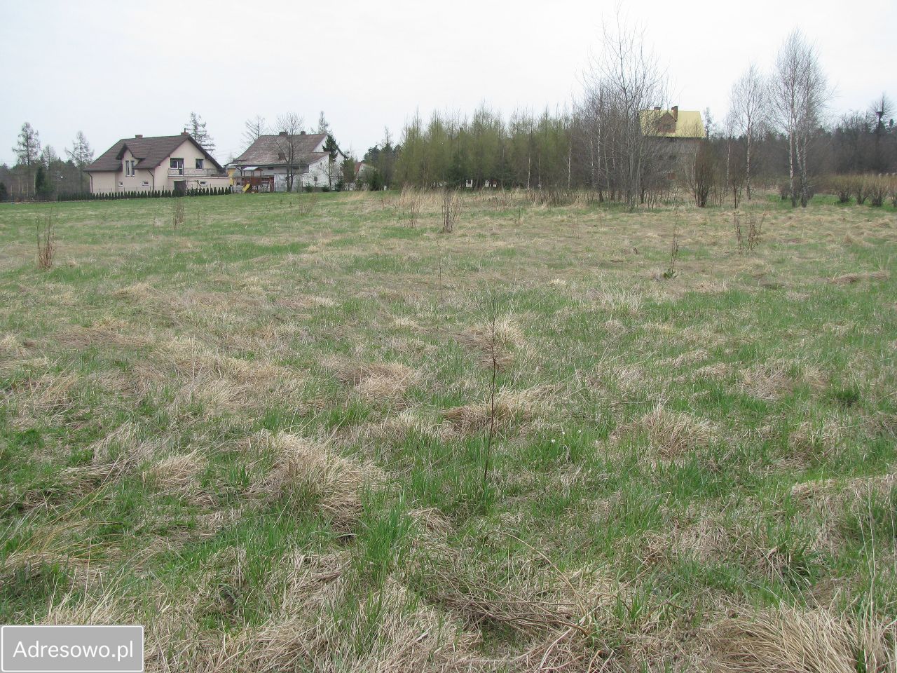 Działka budowlana Święta Katarzyna. Zdjęcie 5