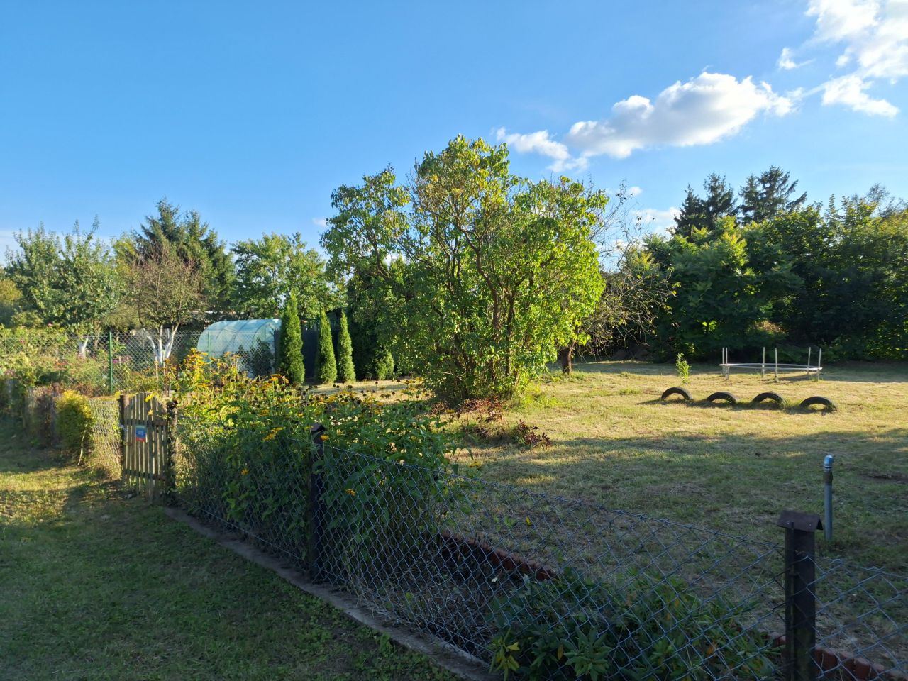 Działka rod Płock Radziwie, ul. Dobrzykowska. Zdjęcie 25