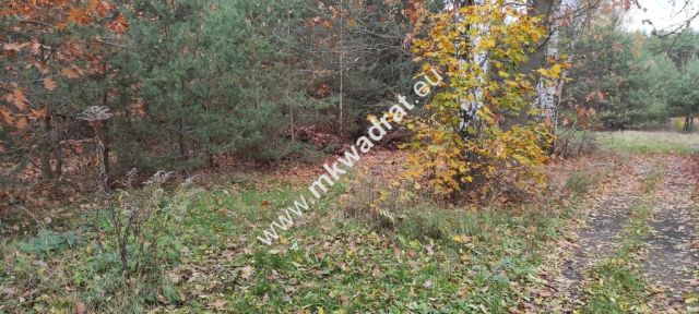 Działka budowlana Tłumy. Zdjęcie 2