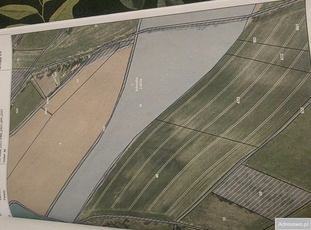 Działka rolna Mąkolno. Zdjęcie 1