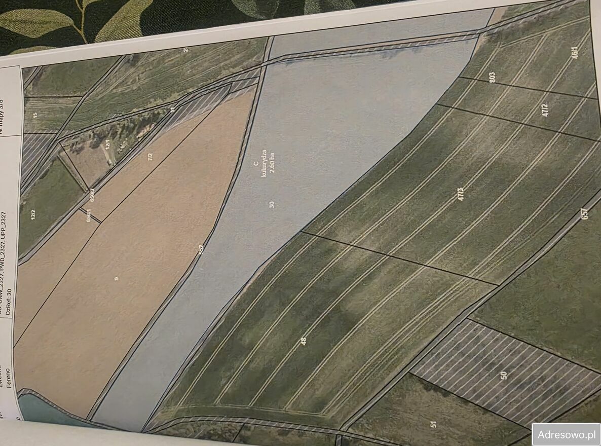 Działka rolna Mąkolno. Zdjęcie 1