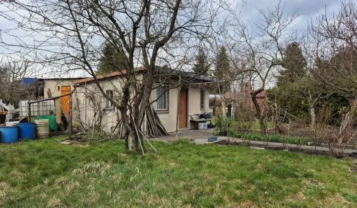 Działka rod Gliwice Trynek, ul. Liliowa