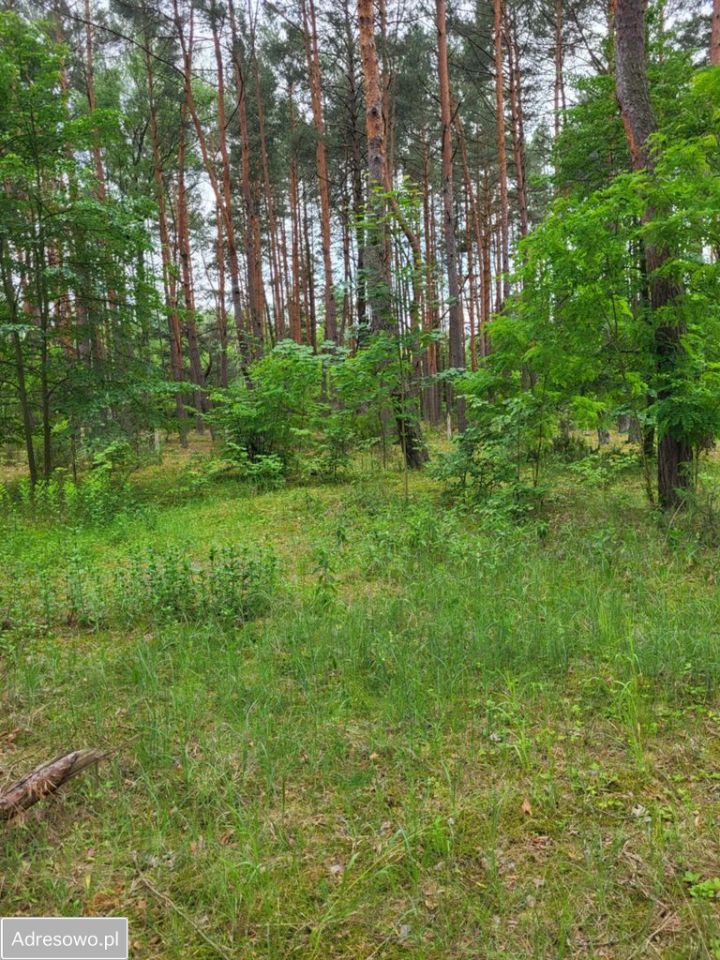 Działka budowlana Popowo-Letnisko, ul. Babiego Lata