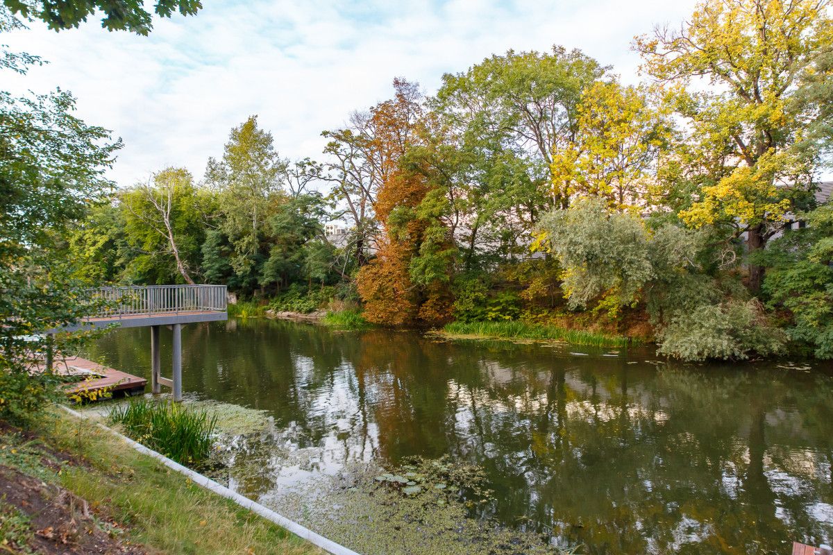 Mieszkanie 1-pokojowe Wrocław, ul. Walońska. Zdjęcie 10