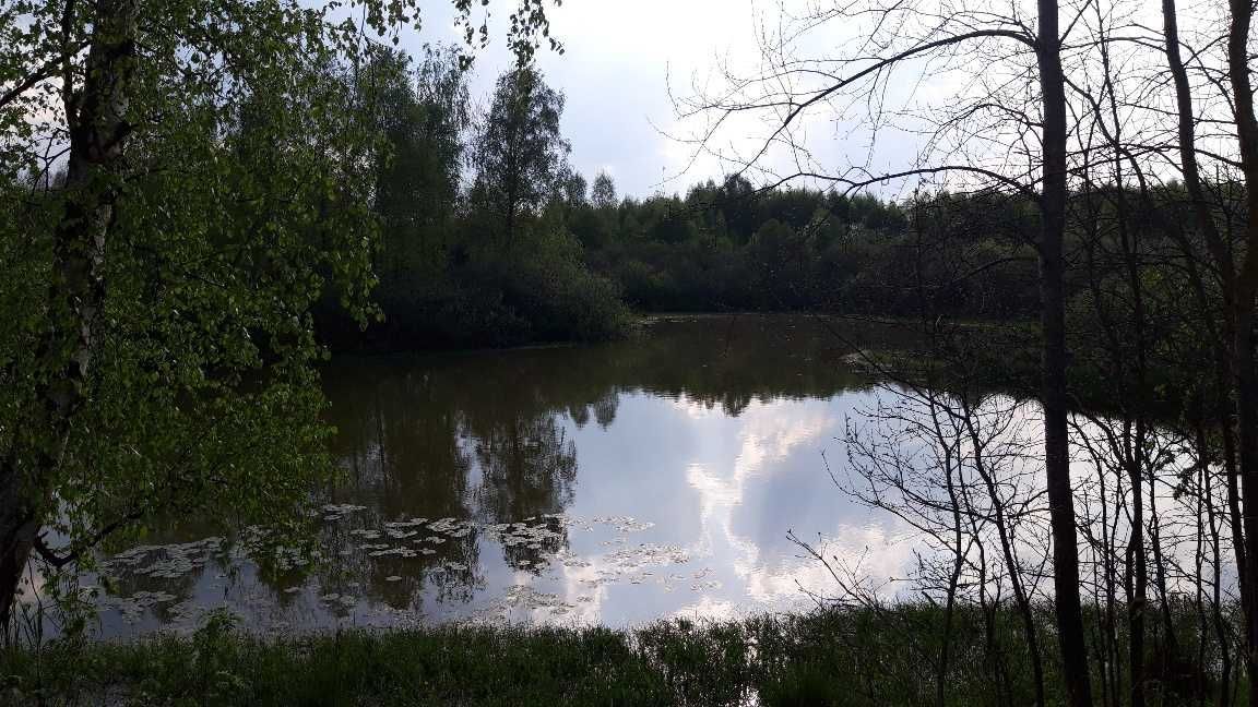 Działka siedliskowa Liszkowo. Zdjęcie 4