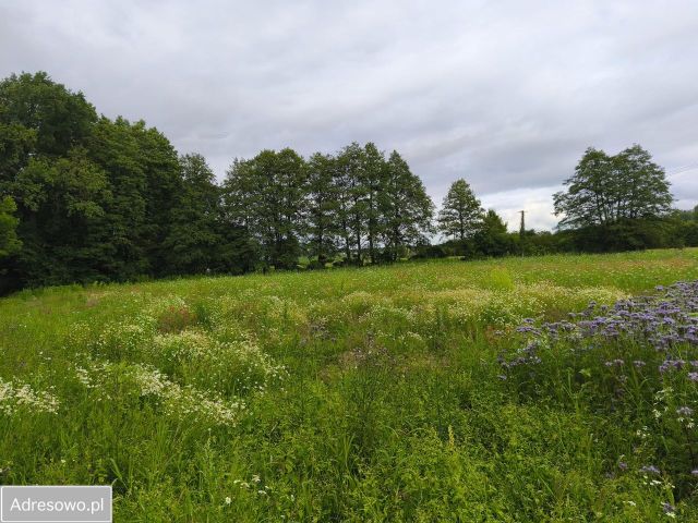 Działka budowlana Chrośna. Zdjęcie 1