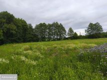 Działka budowlana Chrośna