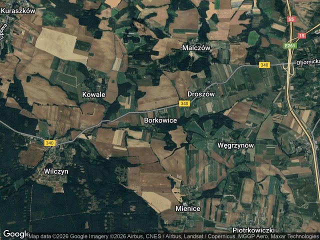 Działka siedliskowa Borkowice. Zdjęcie 1