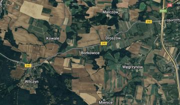 Działka siedliskowa Borkowice