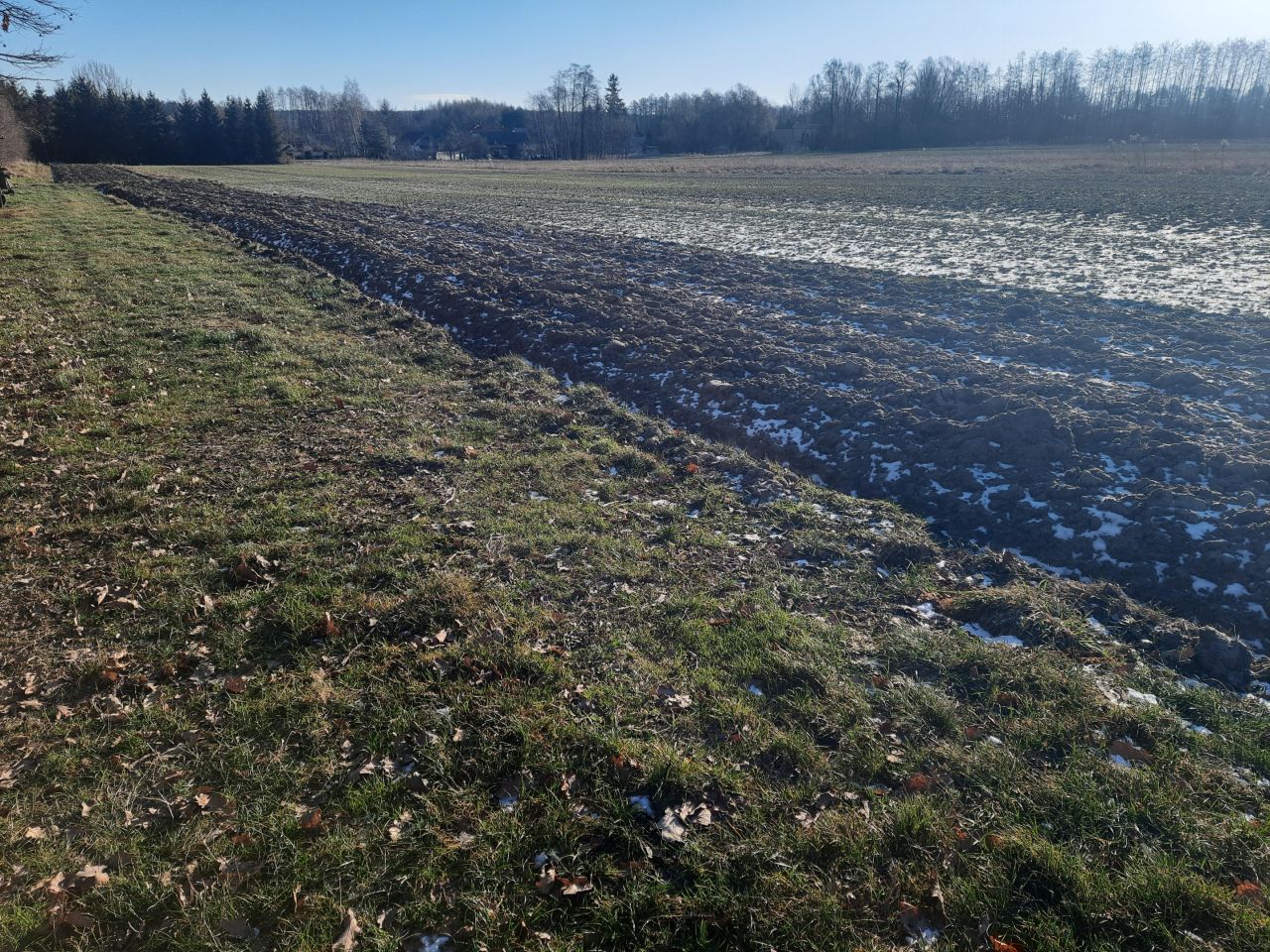 Działka budowlana Borzymów. Zdjęcie 6