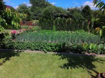 Działka rod Suwałki, ul. Marii Konopnickiej. Zdjęcie 1