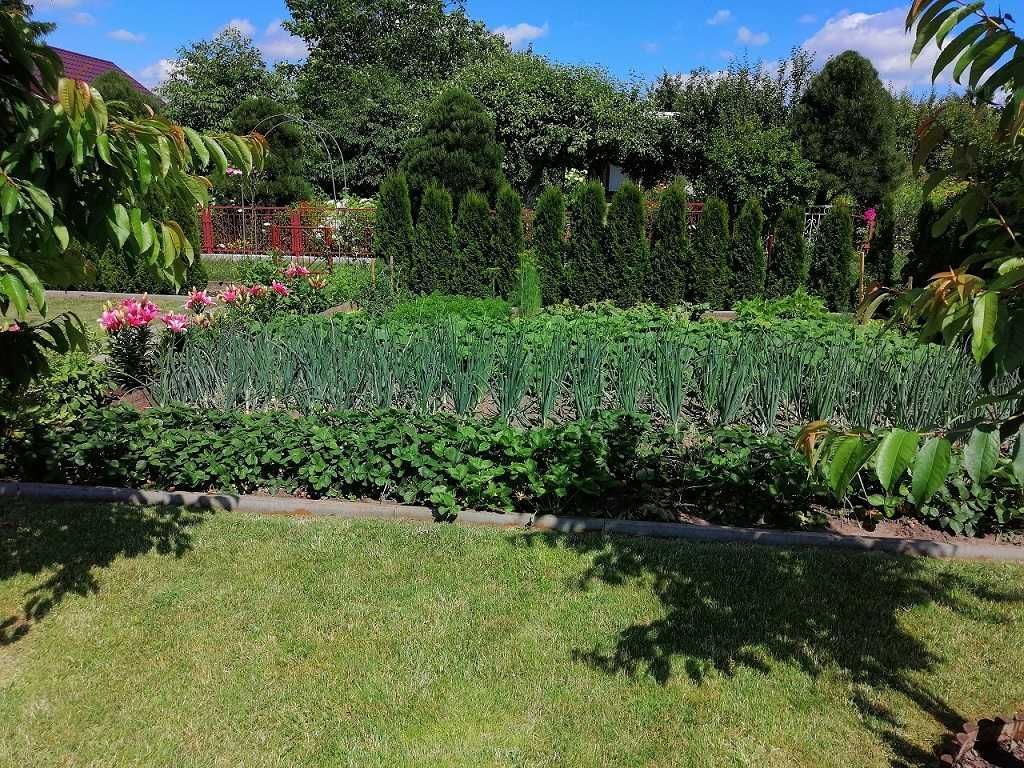 Działka rod Suwałki, ul. Marii Konopnickiej. Zdjęcie 2