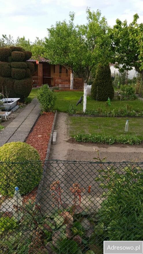 Działka rod Gorzów Wielkopolski, ul. Myśliborska. Zdjęcie 5