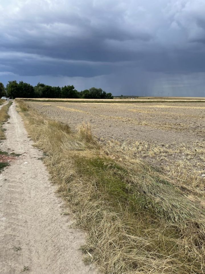 Działka budowlana Niemil. Zdjęcie 2