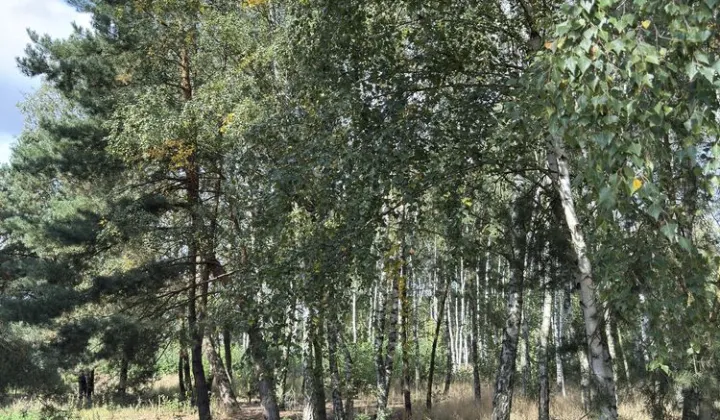 Działka budowlana Popowo