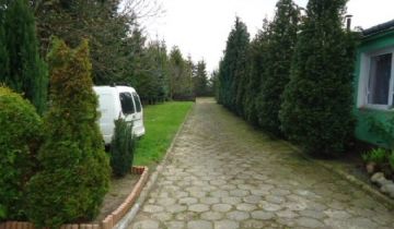 Hala/magazyn Ninków, Ninków. Zdjęcie 5