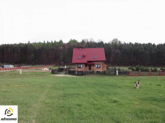 Działka rolno-budowlana Ryczówek, ul. Borowa. Zdjęcie 1