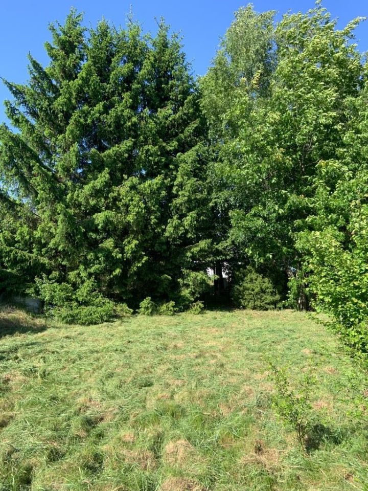 Działka budowlana Krajewo-Korytki. Zdjęcie 4