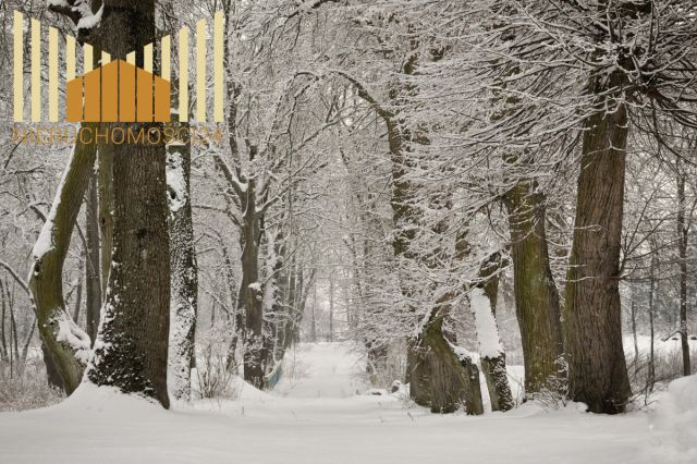 Lokal Gródek. Zdjęcie 11