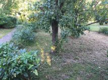 Działka rod Komorów. Zdjęcie 3