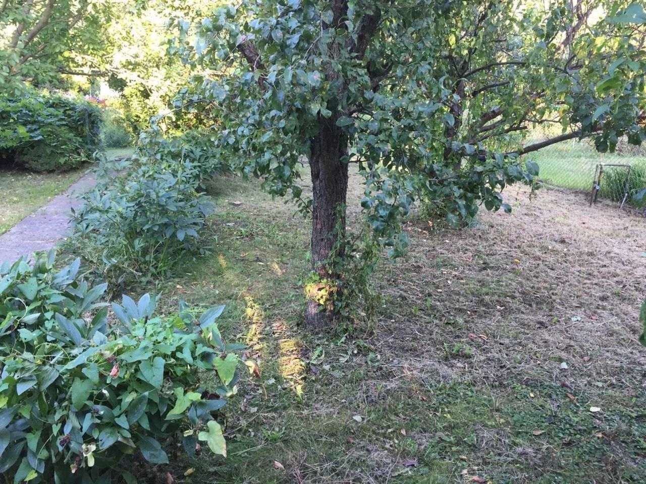 Działka rod Komorów. Zdjęcie 4