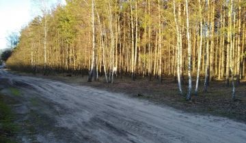 Działka leśna Janów