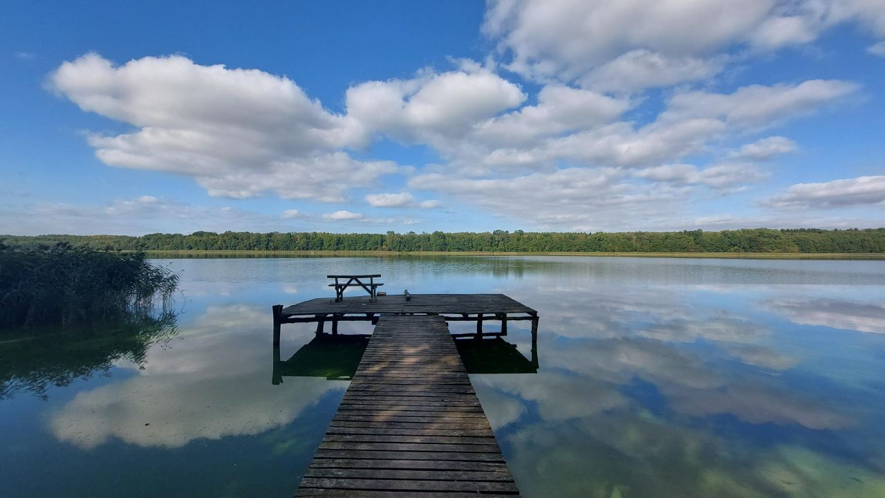 Działka rekreacyjna Wierzchowo, ul. 3 Marca. Zdjęcie 8