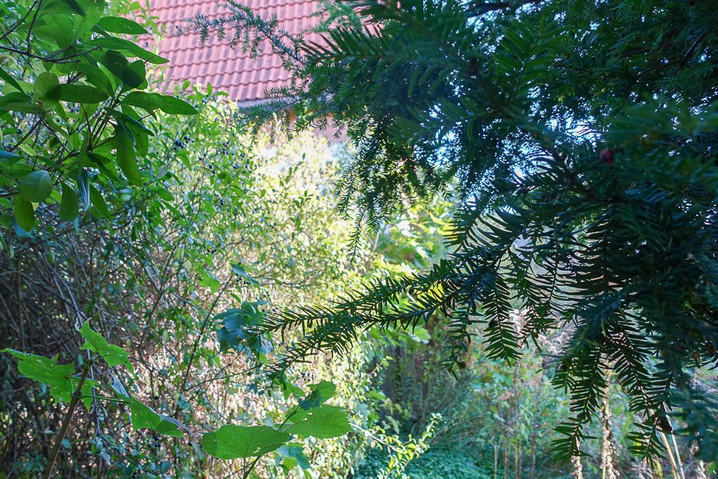 Mieszkanie 4-pokojowe Szczecin Dąbie. Zdjęcie 24