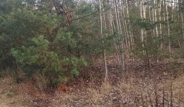 Działka budowlana Stare Lipiny