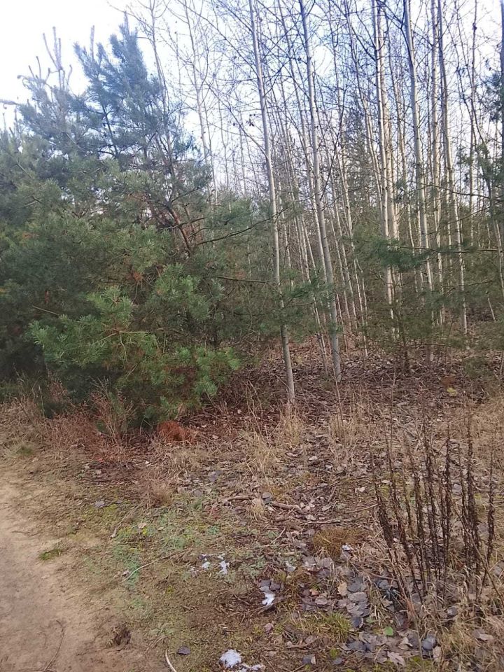 Działka budowlana Stare Lipiny