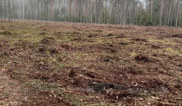 Działka leśna Czerwińskie