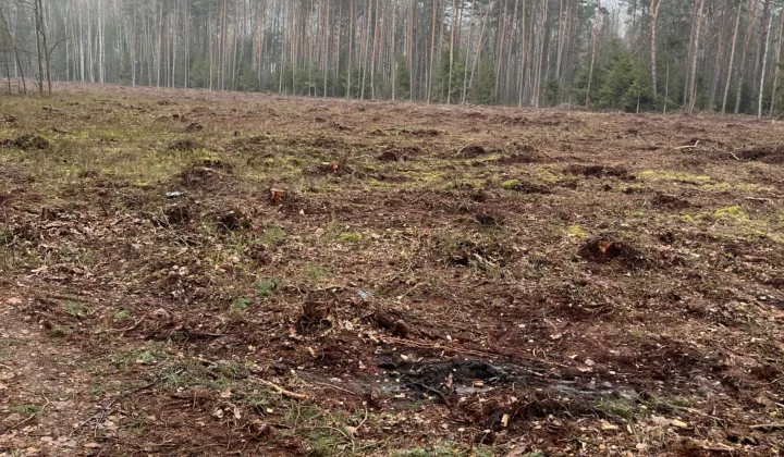 Działka leśna Czerwińskie