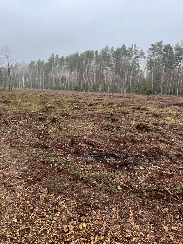 Działka leśna Czerwińskie