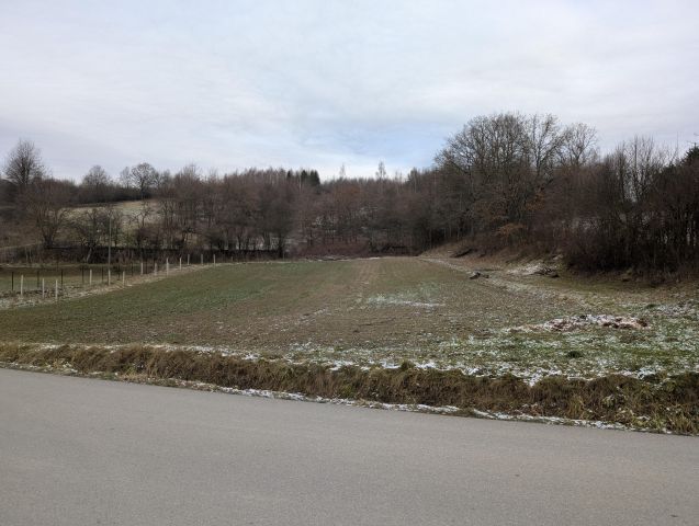 Działka budowlana Skołyszyn Lisówek. Zdjęcie 1