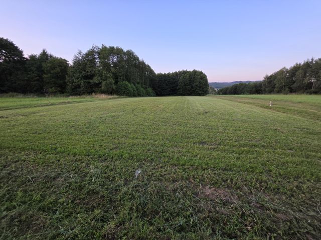 Działka rolno-budowlana Grabownica Starzeńska Folwark. Zdjęcie 1