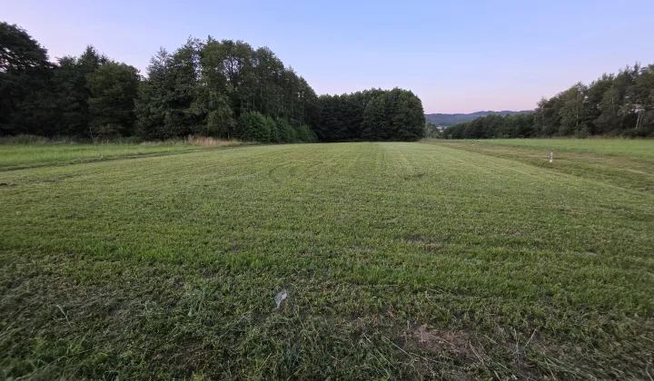 Działka rolno-budowlana Grabownica Starzeńska Folwark