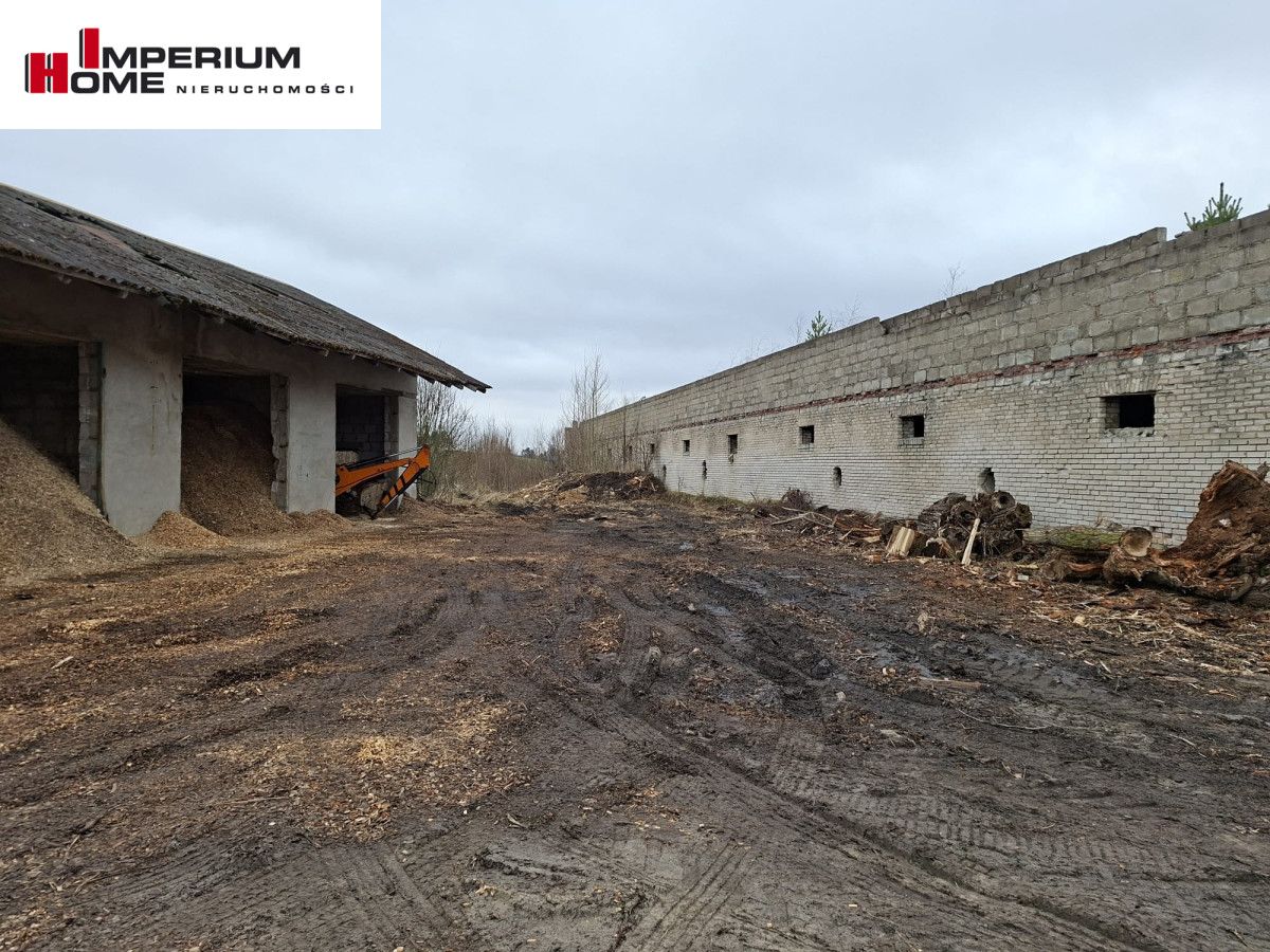 Działka inwestycyjna Chmielno, ul. Jesionowa. Zdjęcie 9