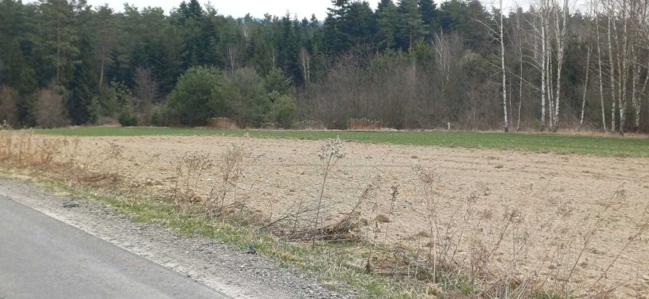 Działka budowlana Majdan Sopocki Pierwszy. Zdjęcie 2