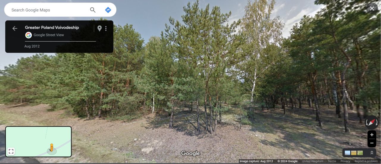 Działka leśna Młyniska. Zdjęcie 5